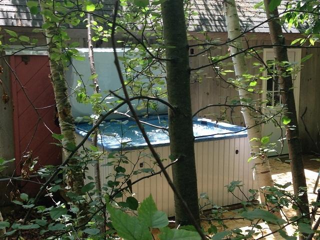 White Mountain Experience Hotell Jackson Rum bild