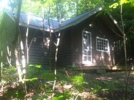 White Mountain Experience Hotell Jackson Rum bild